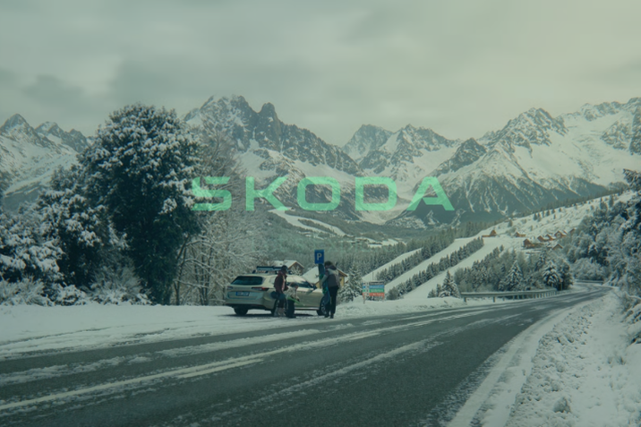 Accesorii Originale Skoda