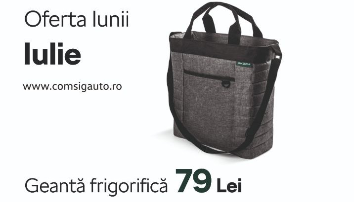 Accesorii Originale Škoda