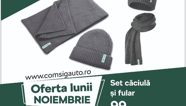 Accesorii Originale Skoda