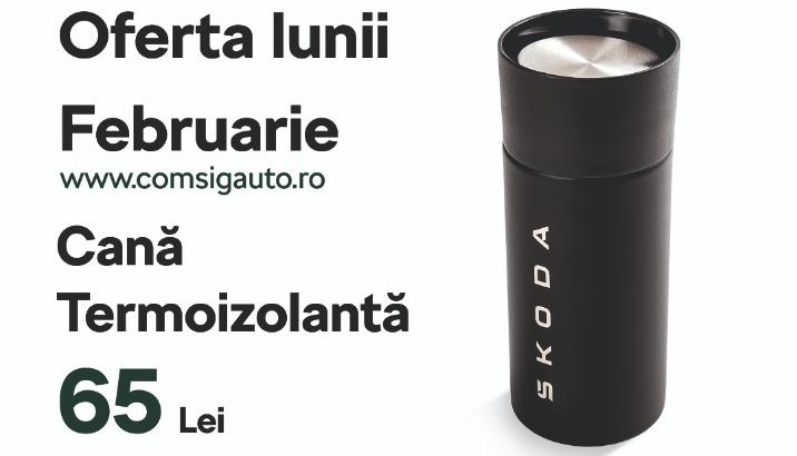 ACCESORII ORIGINALE SKODA