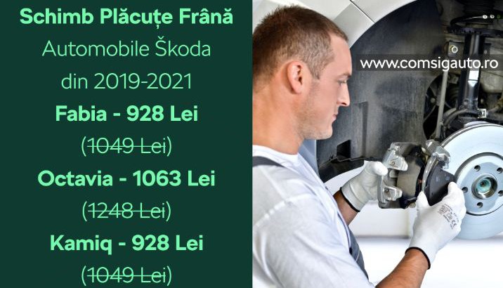 Oferta schimb placute frana