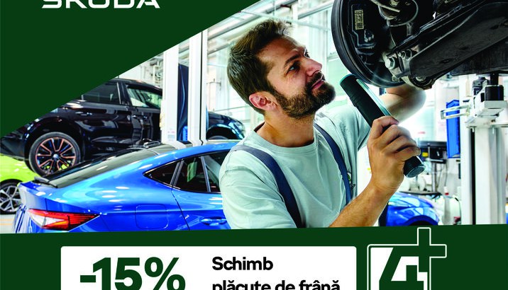 Oferta schimb placute frana