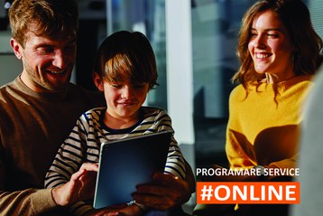 Programare Service Online